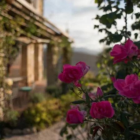 Holiday home Tuscany Forever Premium Apartments